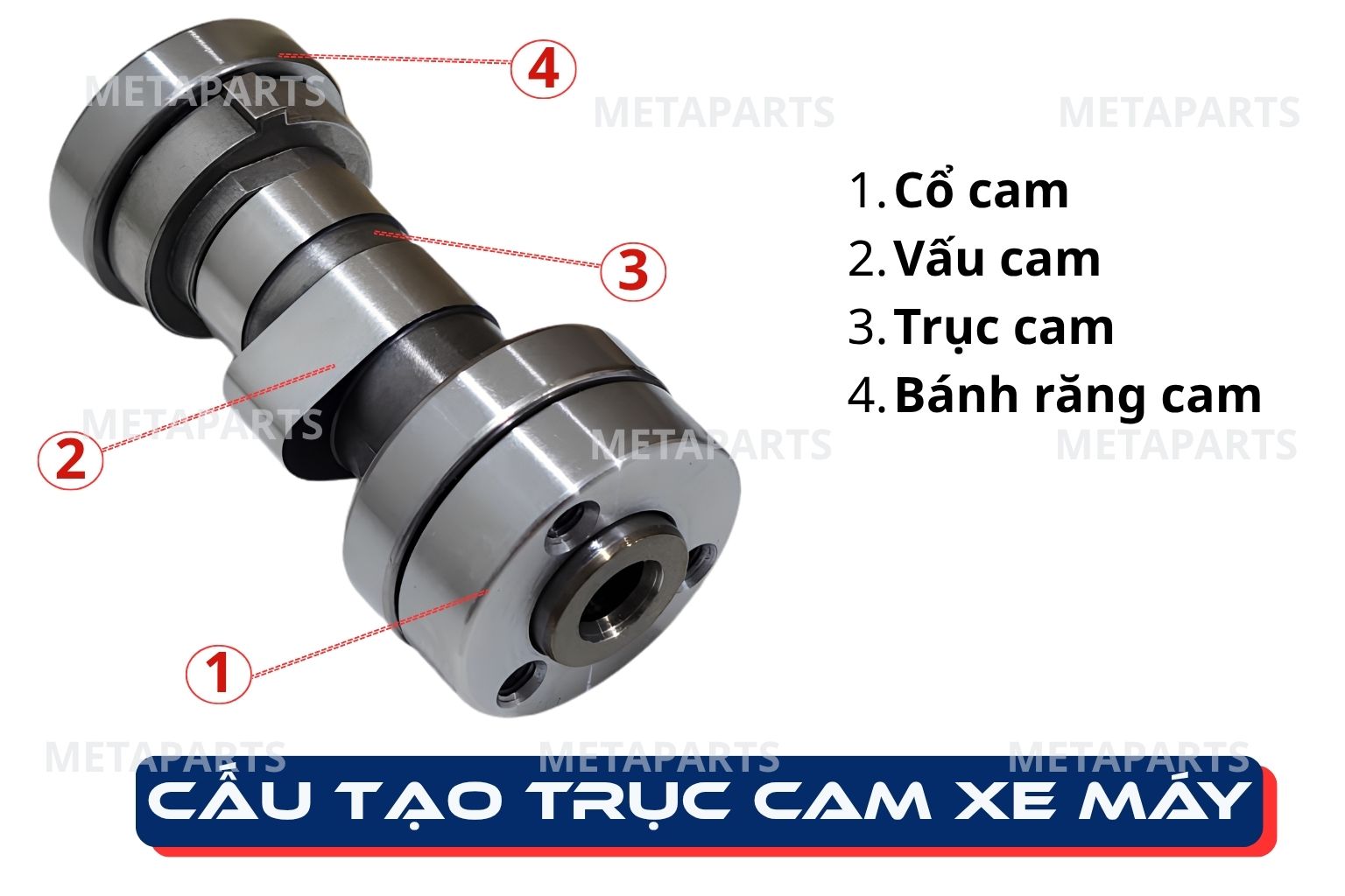 Trục cam xe máy chi tiết cấu tạo